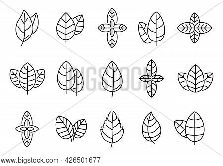 Agriculture Basil Icons Set Outline Vector. Aroma Leaf. Aromatic Healthcare