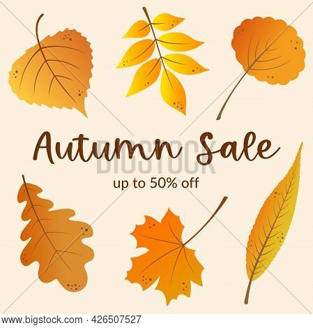 Autumn Sale Banner Template Design With Golden Leaves Background. Fall Leaves. Marketing Materials. 