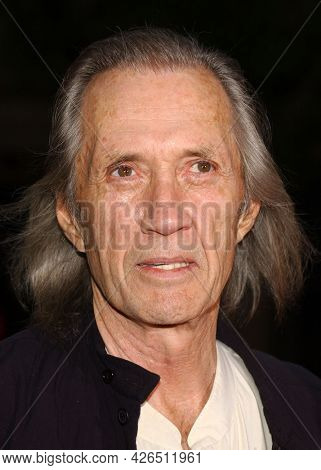 LOS ANGELES - JUN 18: Robert Carradine arrives to  'Charlie's Angels 2: Full Throttle' LA Premiere on June 18, 2003 in Hollywood, CA