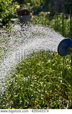 Motion Water Splases Come Out Of Sprinkler Close-up.