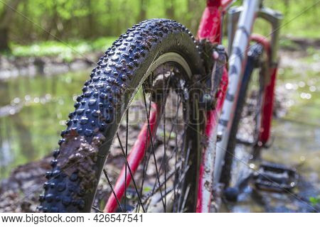 Close-up Of Dirty Wheels And The Bottom Of A Bicycle On Forest Trails. View From Bike Wheel In Puddl