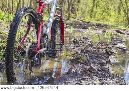 Close-up Of Dirty Wheels And The Bottom Of A Bicycle On Forest Trails. View From Bike Wheel In Puddl