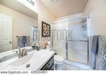 Bathroom Interior With Decorative Displays And Shower Stall With Sliding Frosted Glass Panel