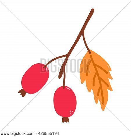 Sprig With Rose Hips And Leaves Isolated On White Background. Vector Hand-drawn Illustration In Cart
