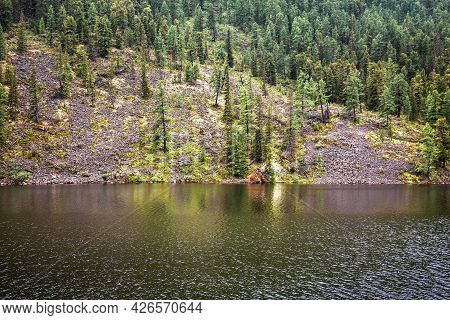 Cheybekkel Mountain Lake Is Surrounded By Mountains And Coniferous Taiga. Ulagan District Of The Alt