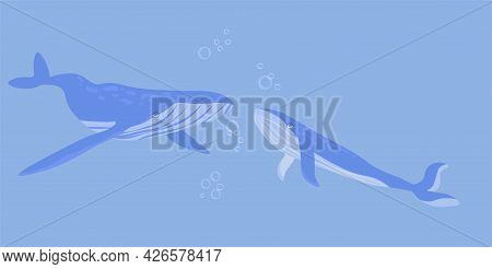 Whale And Compass Vector Stock Marine Illustration Of The Navy. The Wind Rose. The Ocean And Its Inh