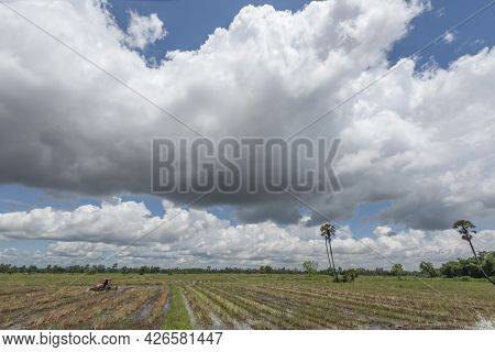Storm Clouds Forming Over Rice Fields Signaling Start Of Rainy Season And Rice Productions