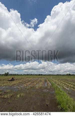 Storm Clouds Forming Over Rice Fields Signaling Start Of Rainy Season And Rice Productions