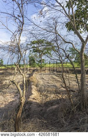 Newly Ploughed Rice Fields Showing Dry Lifeless Soil Before Start Of Rainy Season