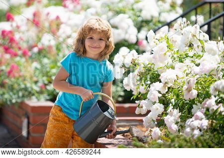 Active Kid Watering Plants On Backyard. Child Helping Arents To Grow Herbs And Flowers In Garden.