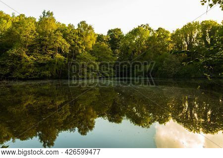 Lake In National Forest In England Near City Ashby