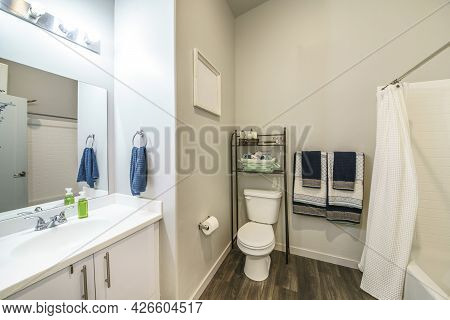 Bathroom Interior With Over-the-toilet Storage Rack And Wooden Flooring