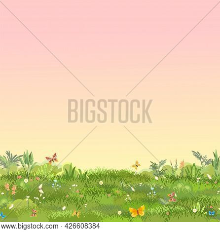 Green Glade. Summer Meadow. Morning. Juicy Grass Close Up. Grassland. Place On The Field. Pasture. C