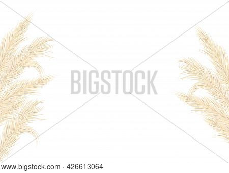 Background Of Dry Pampas Grass .floral Ornamental Elements In Boho Style. Flat Lay With Copy Space, 