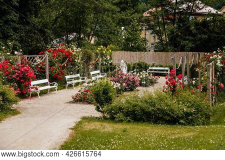 Velke Brezno, Czech Republic, 26 June 2021: Chateau Velke Brezno, Small Rose Garden In Castle Park W