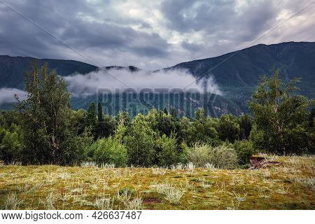 Intermountain Valley Near The Chuey River. Ulagansky District, Altai Republic, Russia