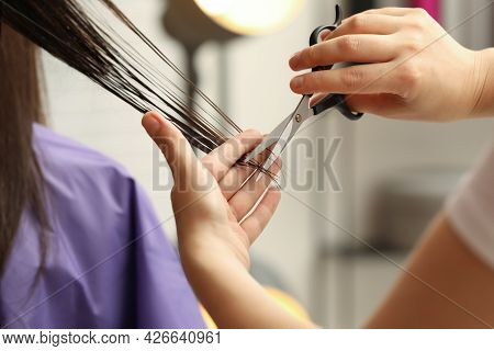 Professional Stylist Cutting Client's Hair In Salon, Closeup