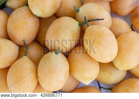 Close-up Group Maprang Or Plum Mangos. Thai Summer Fruit Has A Sweet And Sour Taste. (bouea Macrophy