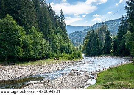 Mountain River Runs Through Forested Valley. Countryside Scenery On A Summer Day. Trees And Stones O