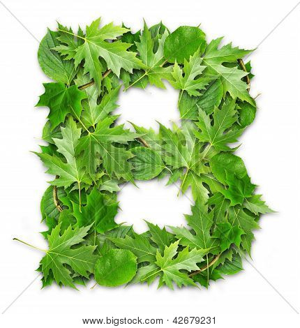 Lettre des feuilles