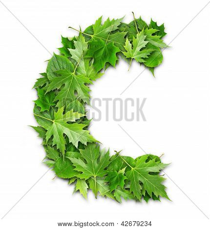 Lettre des feuilles