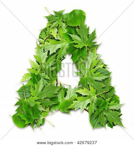 Lettre des feuilles