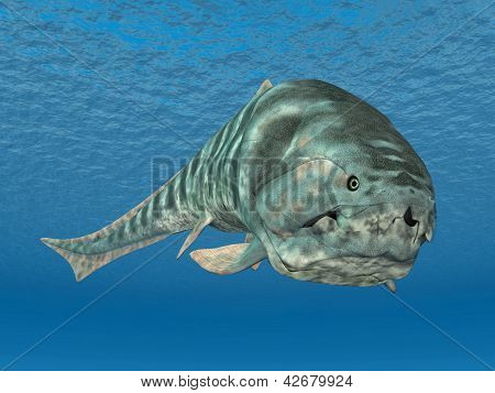 Dunkleosteus