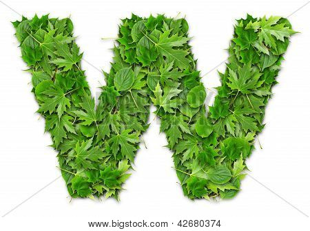 Lettres de feuilles
