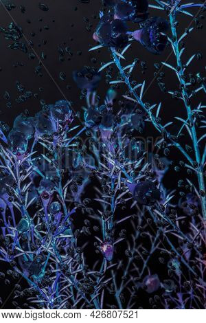 Inverted photography of wax flowers in water with air bubbles on the surface