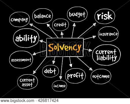 Solvency Mind Map, Business Concept For Presentations And Reports