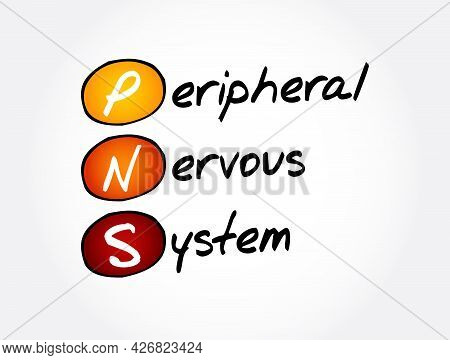 Pns - Peripheral Nervous System Acronym, Medical Concept Background