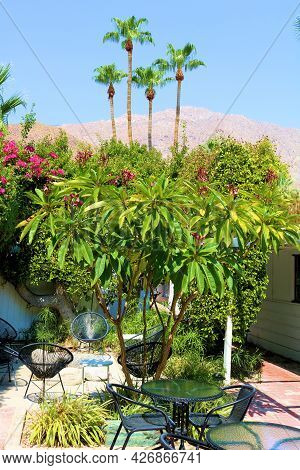 Chairs Surrounding A Contemporary Style Fire Pit Besides Lush Plants, Flowers, And Palm Trees Taken 