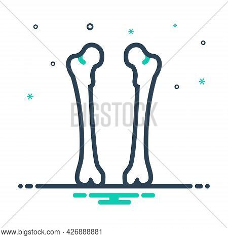 Mix Icon For Femur Bone Calcuim Cartilage Epiphysis Orthopedic Physiology Skeleton