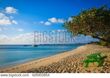 Green Wooden Table By A Tree By The Caribbean Sea On Seven Mile Beach In Grand Cayman