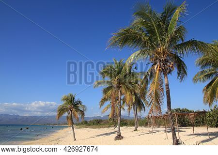Cuba Beach Landscape - Palm Trees At Ancon Beach, Trinidad.