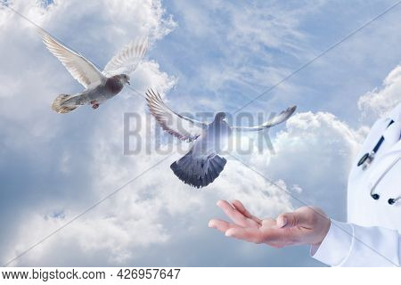 Concepts Of Hope And Miracle In Medicine. Doves Fly Into The Doctor Hands Against The Background Of 