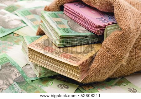 Close-up of money bag with ukrainian hryvna