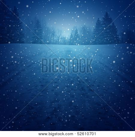 Winter Landscape