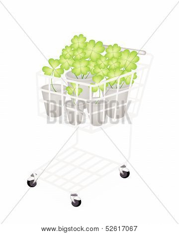 Four Leaf Clovers In A Shopping Cart
