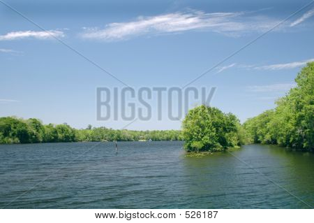 Rio Suwannee