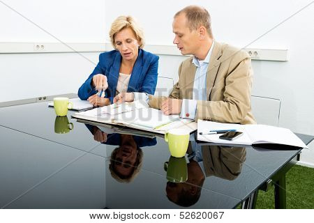 Male and female environmentalists discussing over documents at desk in office