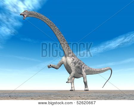 Dinosaur Diplodocus