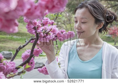 Woman smelling cherry blossoms with eyes closed.