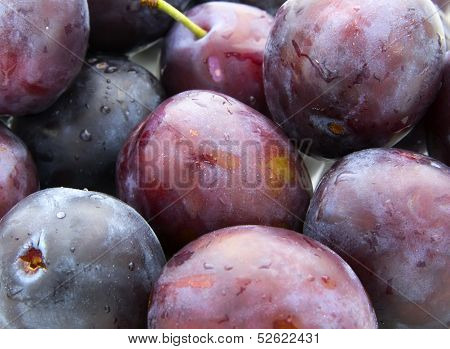 Plum