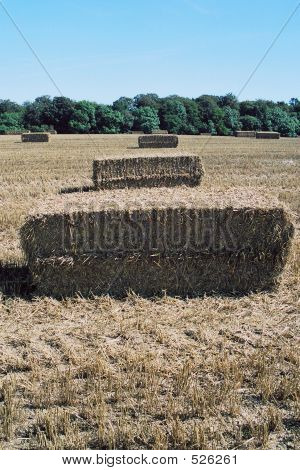 ก้อน Hay ในฟิลด์