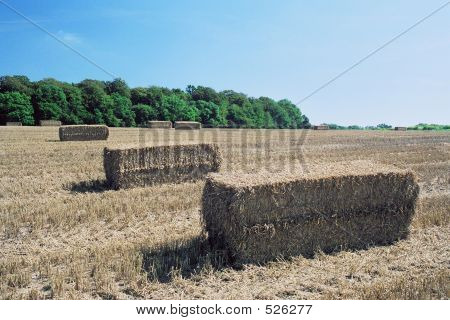 ก้อน Hay ในฟิลด์