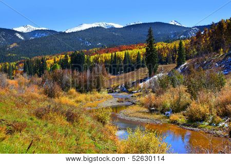 Gunnison national forest