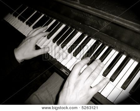 Gıdıklama Ivories