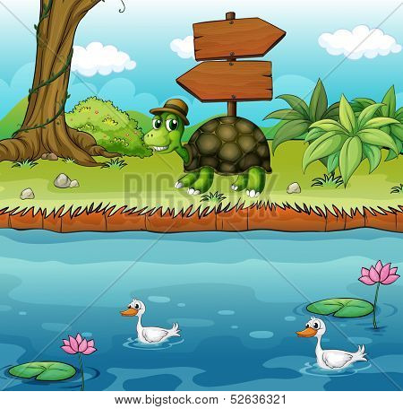 Illustration of a turtle near the wooden arrowboards at the riverbank