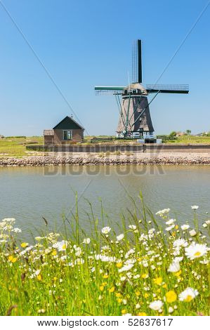 Windmill and wild flowers at Dutch wadden island Texel